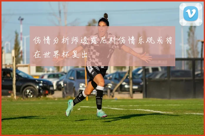 伤情分析师透露尼科伤情乐观或将在世界杯复出
