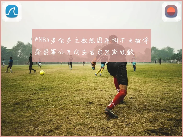 WNBA多伦多主教练因用词不当被停薪禁赛公开向安吉尔里斯致歉