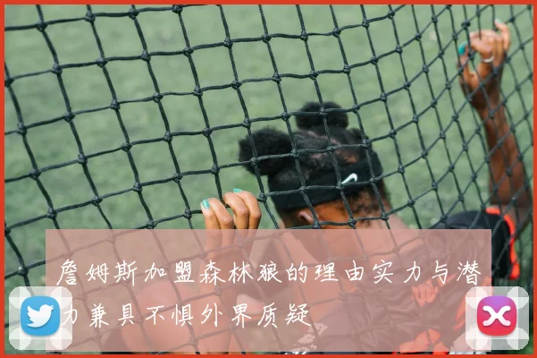 詹姆斯加盟森林狼的理由实力与潜力兼具不惧外界质疑